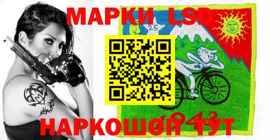 кокс Кингисепп