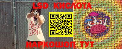 кокс Кингисепп