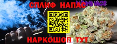 кокс Кингисепп