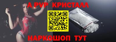 кокс Кингисепп