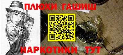 кокс Кингисепп