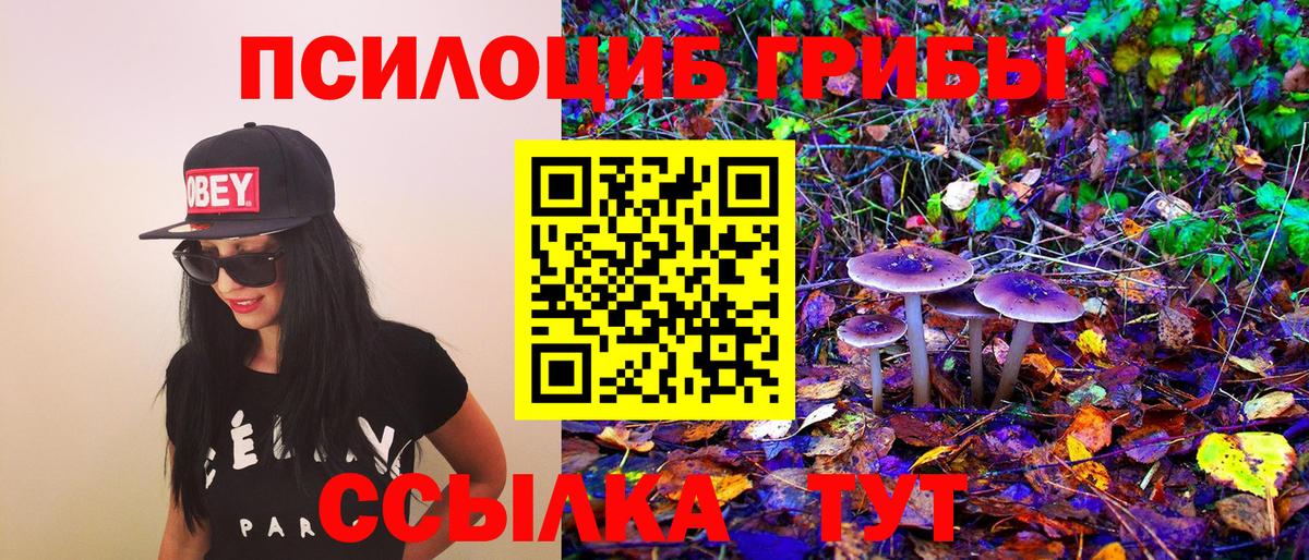 Качканар  Галлюциногенные грибы Psilocybine cubensis  Вход с VPN 