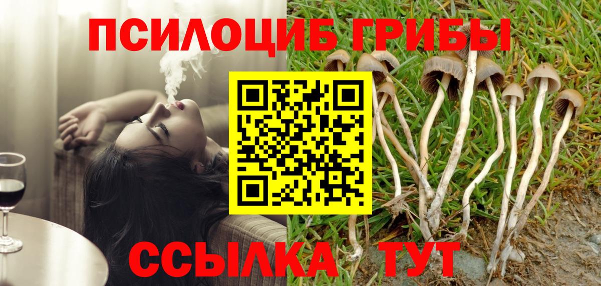 Псилоцибиновые грибы Psilocybine cubensis Качканар